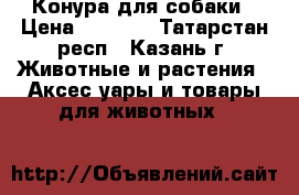 Конура для собаки › Цена ­ 7 000 - Татарстан респ., Казань г. Животные и растения » Аксесcуары и товары для животных   